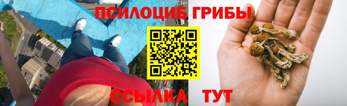Псилоцибиновые грибы мицелий  Псилоцибиновые грибы Cubensis  Сосновый Бор  закладки  Вход с VPN 